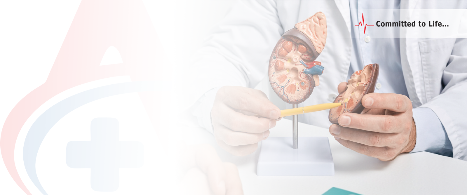 KIDNEYTRANSPLANT